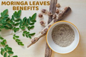 Amazing Drumstick Health Benefits of Moringa Leaves Benefits Revealed