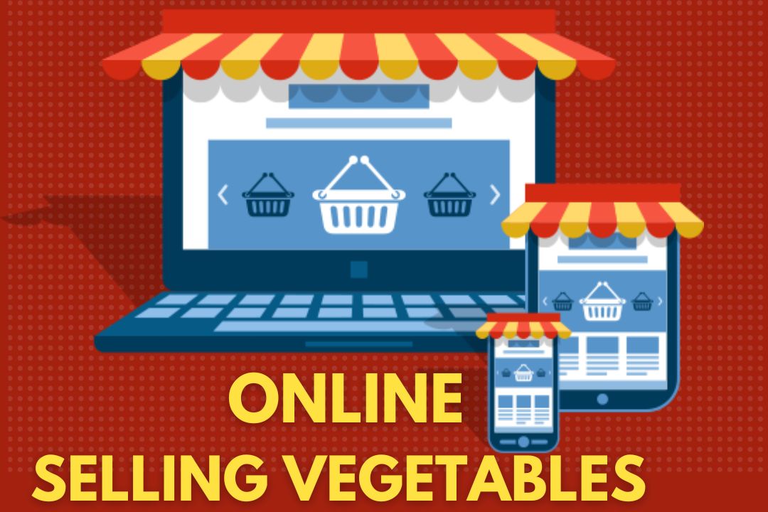 How To Start Selling Vegetables Online in 2022