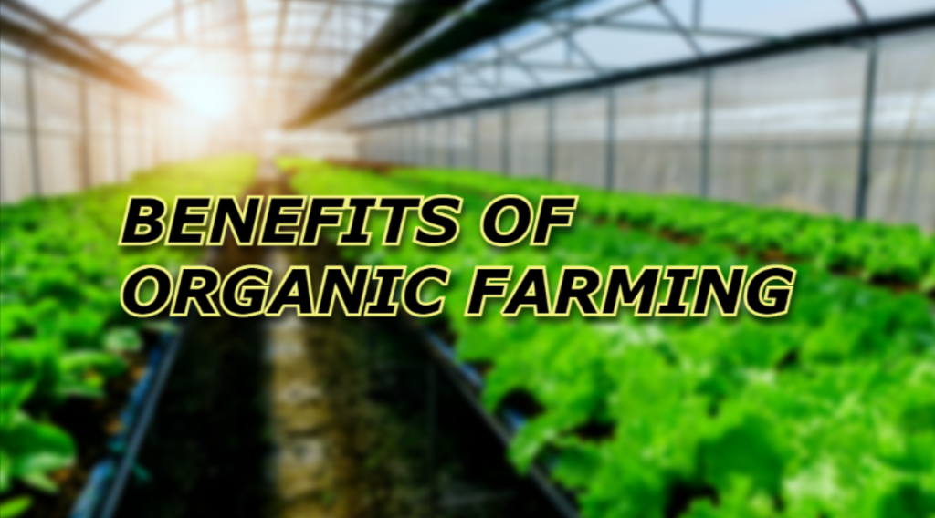Understanding the benfits of Organic Farming methods.